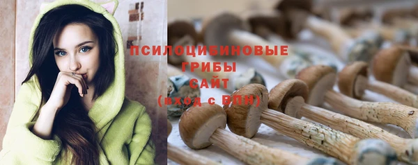 ешки Абинск