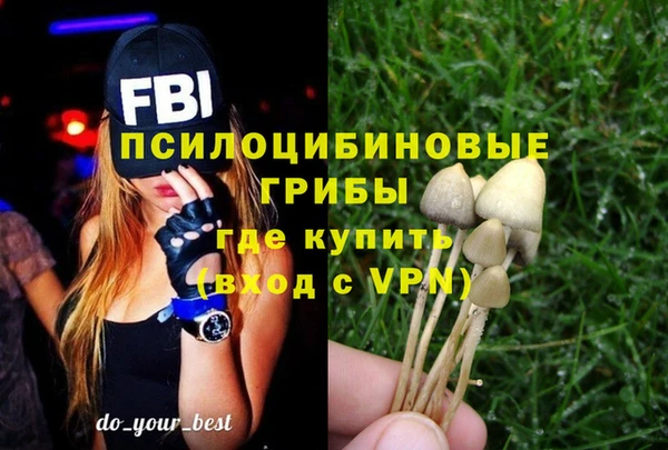ешки Абинск