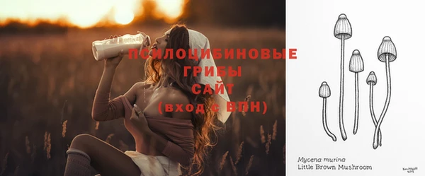 ешки Абинск