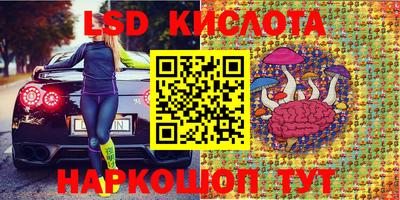 стаф Партизанск